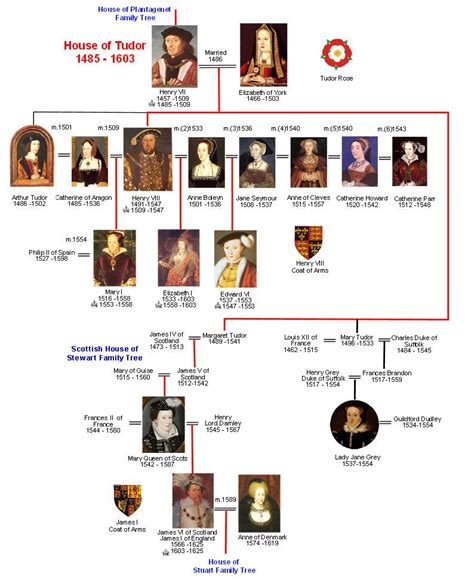 tudor hierarchy|house of tudor kingdom.